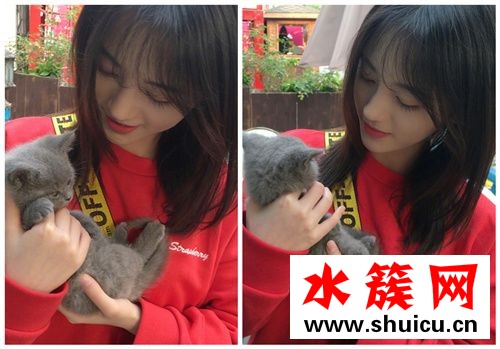 鞠婧祎演技像鄭爽