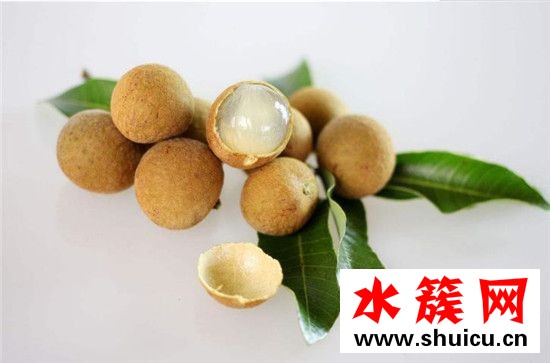 桂圓和龍眼的區別圖片