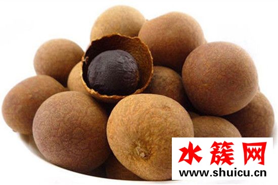 桂圓和龍眼的區別圖片