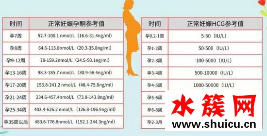 hcg低吃什么補得快