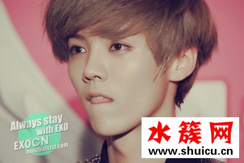 春雨里洗過的太陽鹿晗現場版