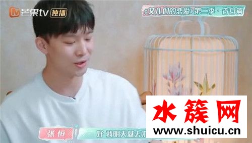 張恒鄭爽結(jié)婚計(jì)劃是什么