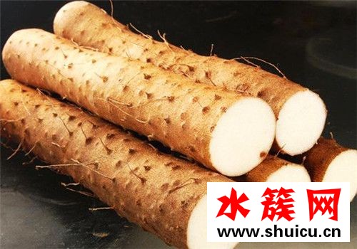 春季養(yǎng)生必吃十種食物