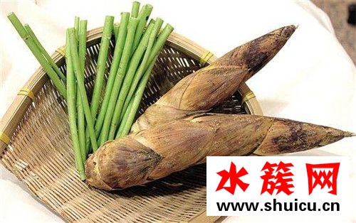 春季養(yǎng)生必吃十種食物