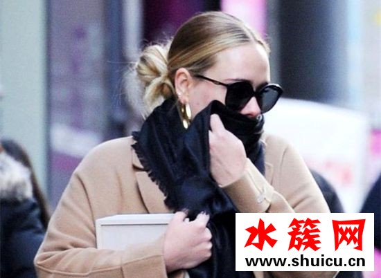 阿黛爾霉霉或合作