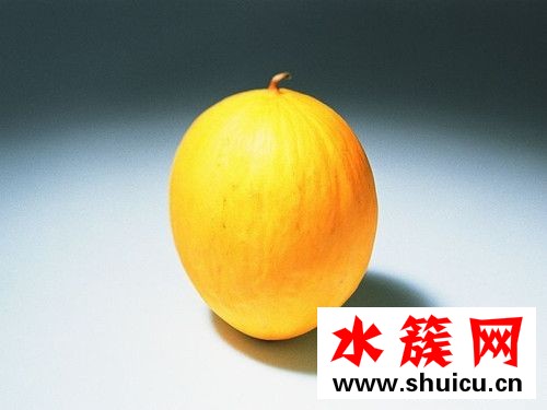 黃金瓜孕婦可以吃嗎