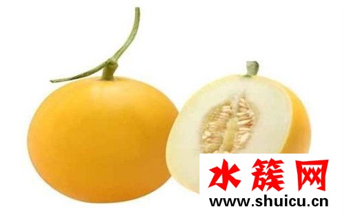 黃金瓜孕婦可以吃嗎