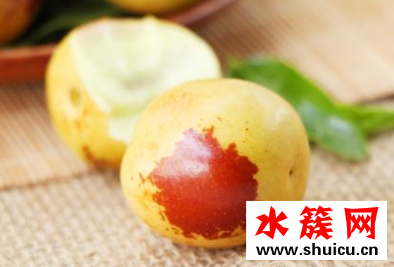 冬棗是涼性還是溫性