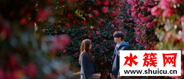 喜歡的話請響鈴哪里可以看