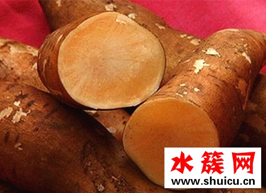 孕婦能吃雪蓮果嗎