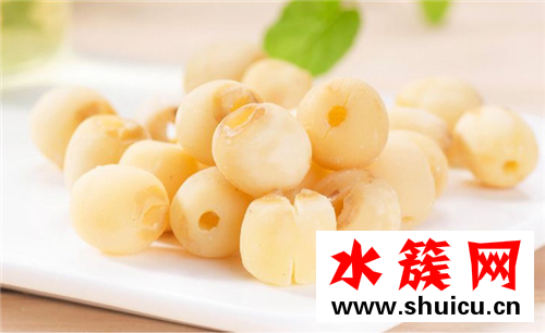 蓮子能泡水喝嗎