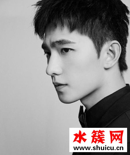 2019楊洋寸頭照片