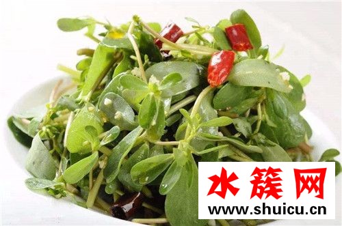 孕婦吃什么降血糖最快最好 孕婦降血糖吃什么蔬菜 孕婦吃什么降血糖最快最好