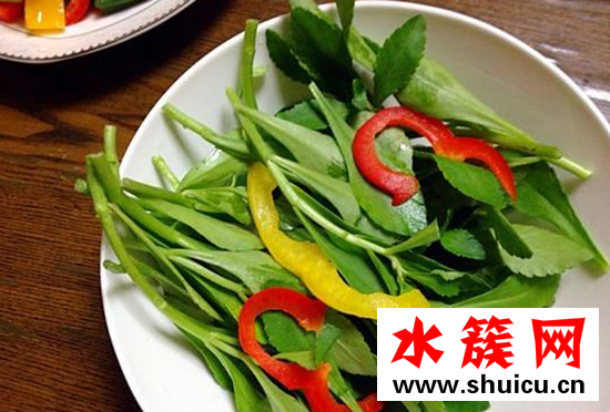 哪些人不能吃救心菜