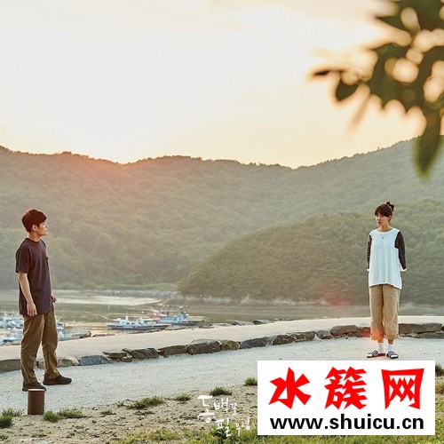 山茶花開時什么時候播