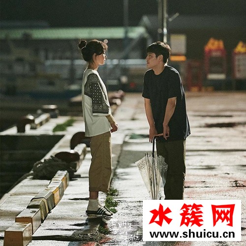 山茶花開時什么時候播