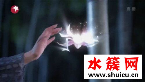 醉玲瓏十二個皇子跟十二朵奇花有什么關系？