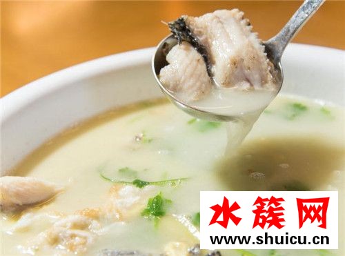 孕婦不能吃4種魚的圖片