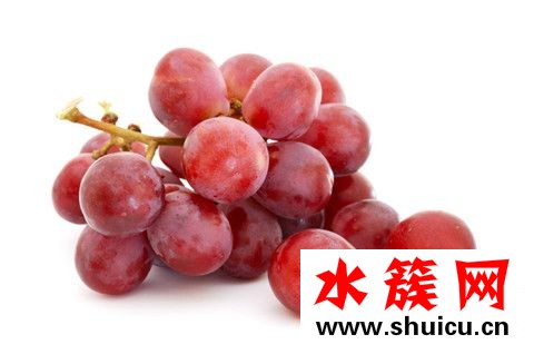 吃什么水果可以瘦小肚子