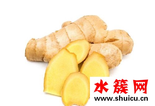 生姜敷肚臍能減肥嗎