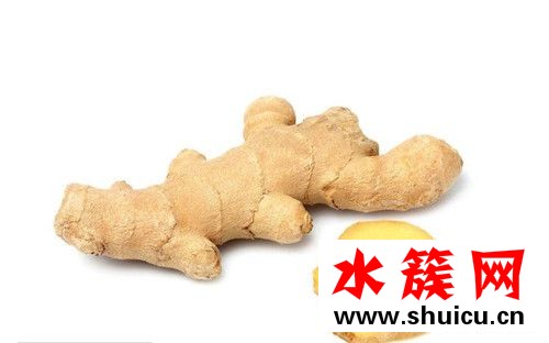 生姜敷肚臍能減肥嗎