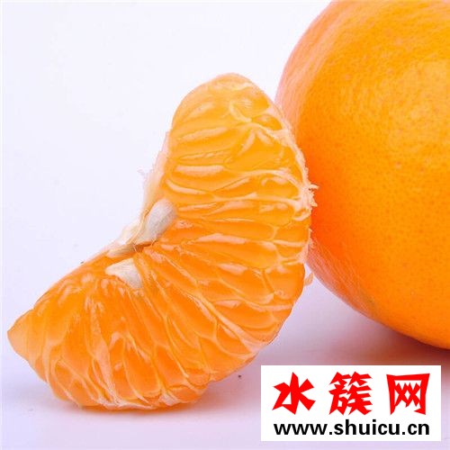 椪柑和橘子的區(qū)別