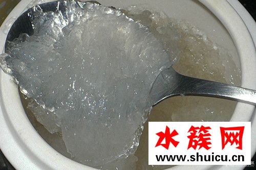 燕窩是怎么形成的