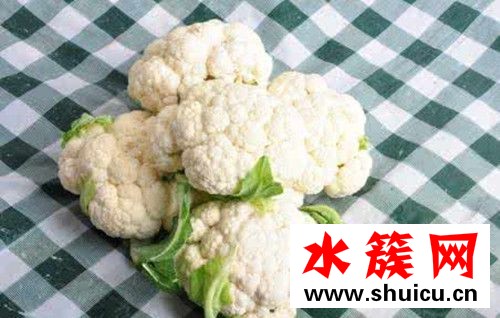 孕婦能不能吃花菜？