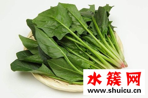 每天吃什么蔬菜美容