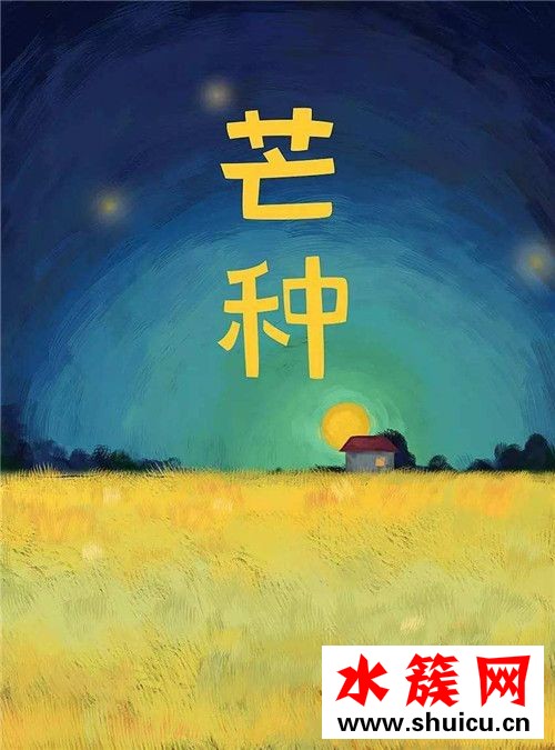 芒種節(jié)氣如何養(yǎng)生