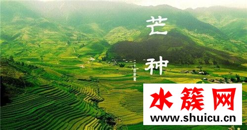 芒種節(jié)氣如何養(yǎng)生