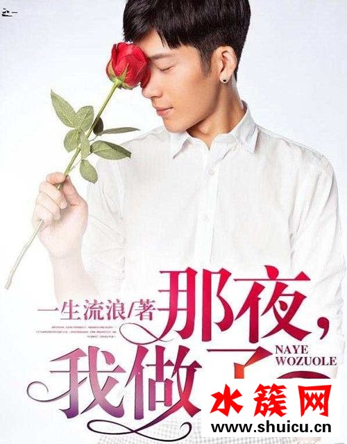 陳鋒羽婷張紅舞那夜我做了小說(shuō)劇情介紹