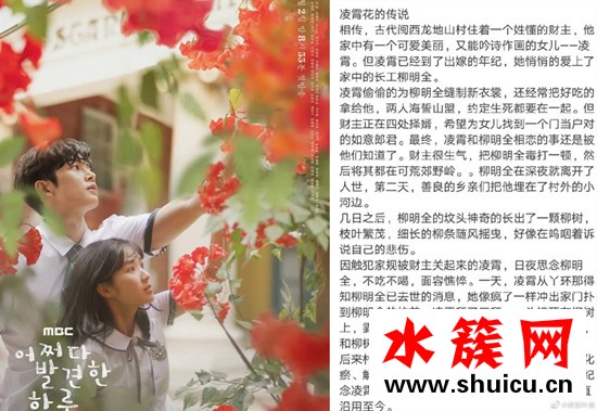 偶然發現的一天紅色的花是什么