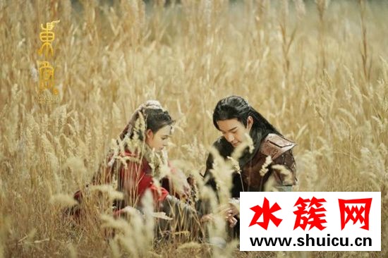 優酷回應東宮下架什么情況